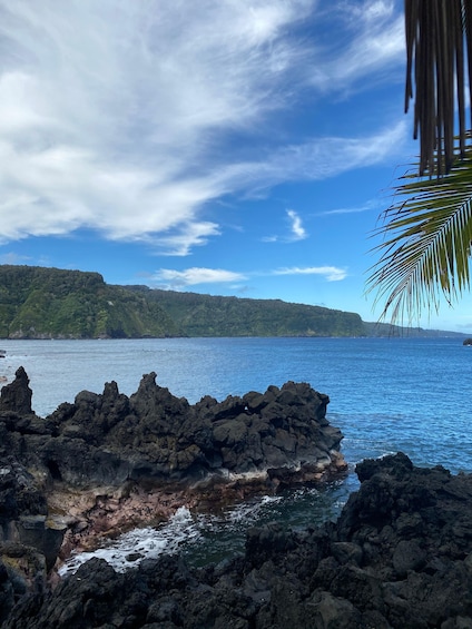 Picture 5 for Activity Maui: Van Day Trip to Hana with Local Guide and Lunch