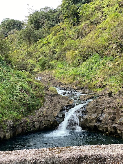 Picture 4 for Activity Maui: Van Day Trip to Hana with Local Guide and Lunch