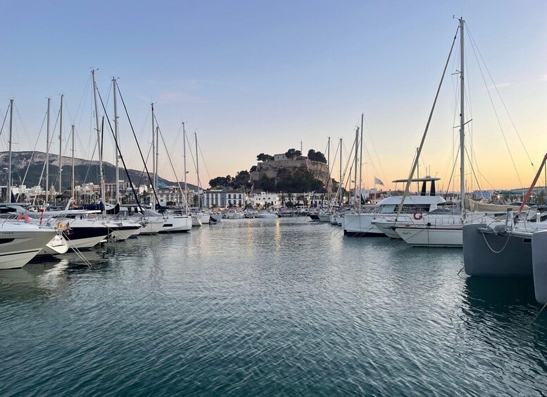 Picture 10 for Activity Denia: Sunset Electric Sailboat Cruise with Dolphin Spotting