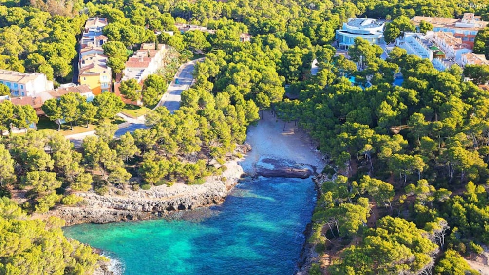 Picture 15 for Activity Mallorca Tour: Playa Mondrago, S'amarador & Barca Trencada
