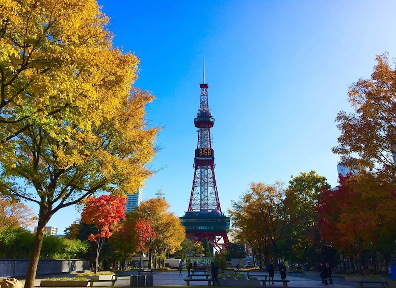 Picture 3 for Activity One day Private Sapporo Highlights Tour