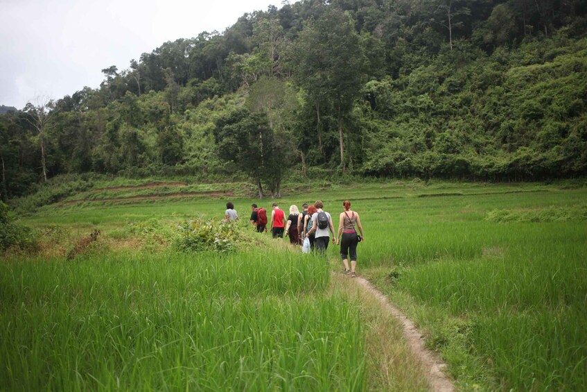 Picture 2 for Activity Chiang Mai: Full-Day Hill Tribe Countryside Villages Tour