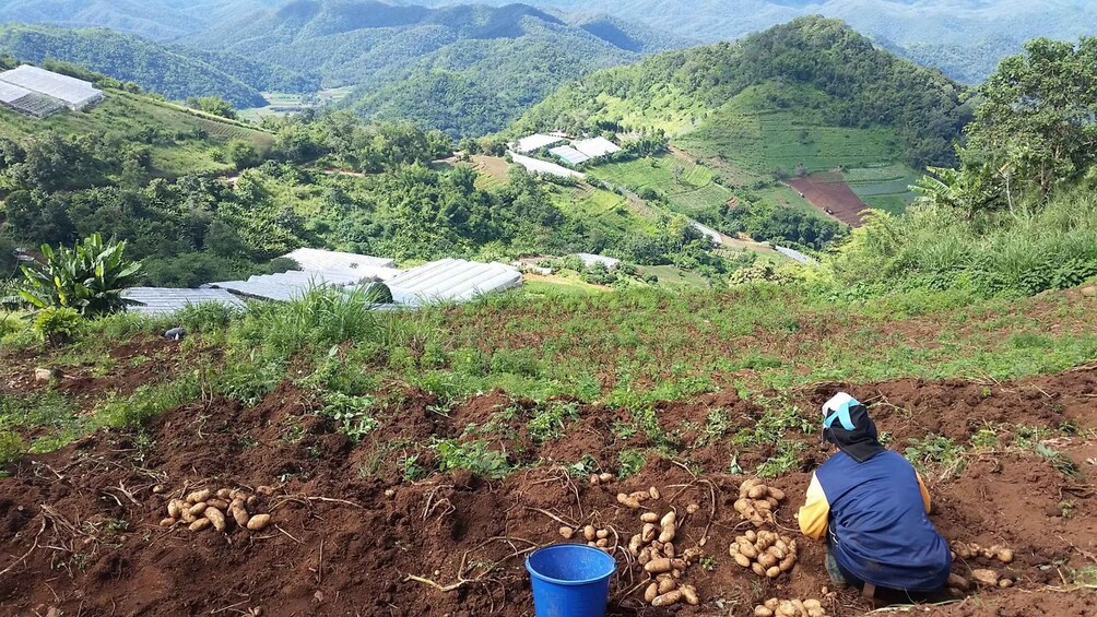 Picture 3 for Activity Chiang Mai: Full-Day Hill Tribe Countryside Villages Tour