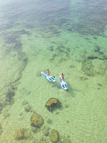 Sup introduction a local guide