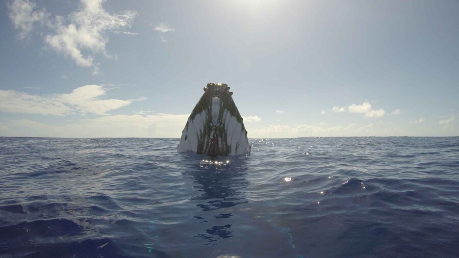 Bora Bora: halfday whale watching