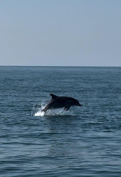 Picture 8 for Activity Milano Marittima: Riviera Romagnola Half-Day Boat Tour