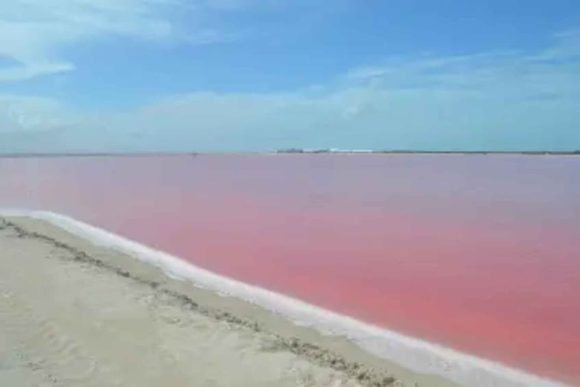 Picture 2 for Activity Las Coloradas + Rio Lagartos Private tour