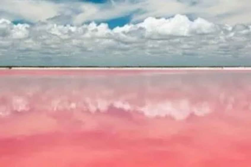 Picture 3 for Activity Las Coloradas + Rio Lagartos Private tour