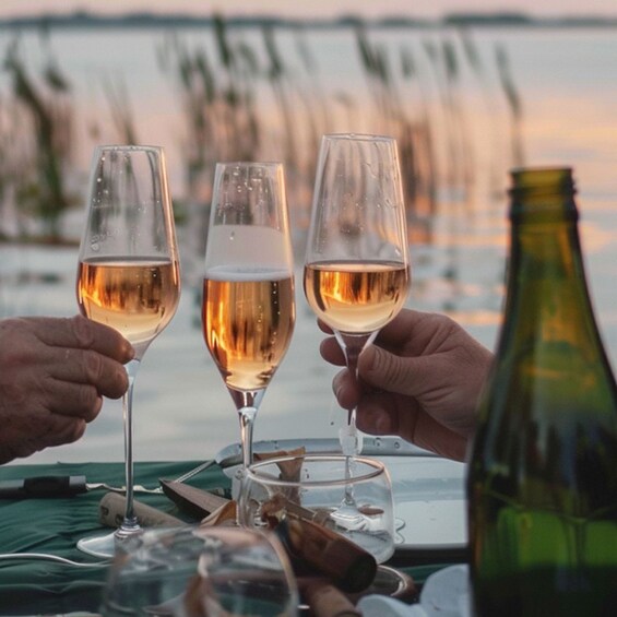 Picture 5 for Activity Albufera: Boat Ride with Valencian Wine Tasting & Tapas