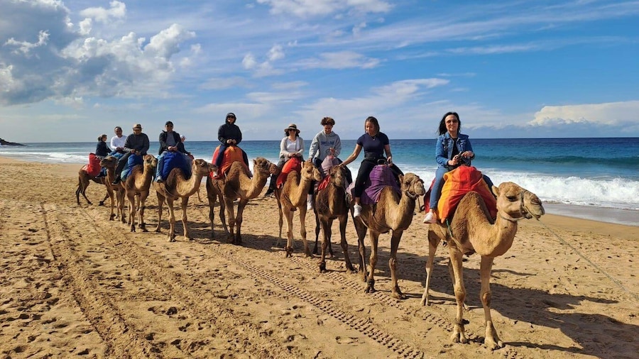 From Tangier: Cap Spartel and Hercules Cave with Camel Ride