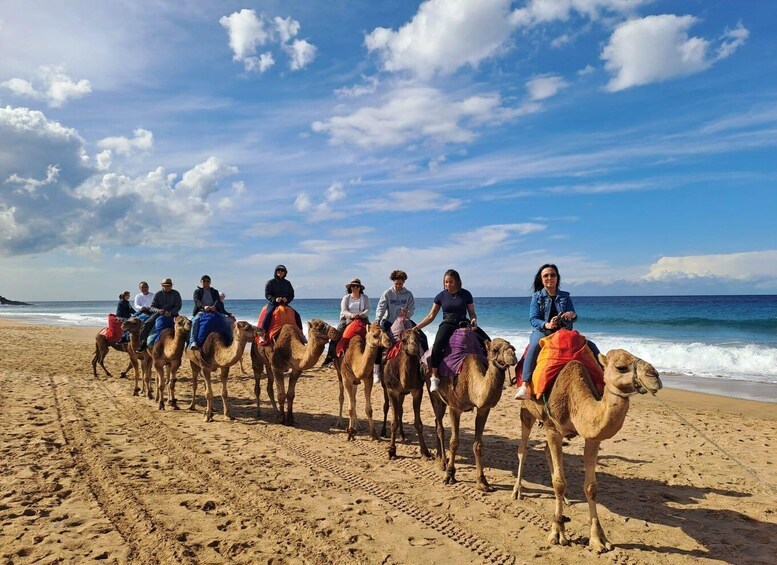 From Tangier: Cap Spartel and Hercules Cave with Camel Ride