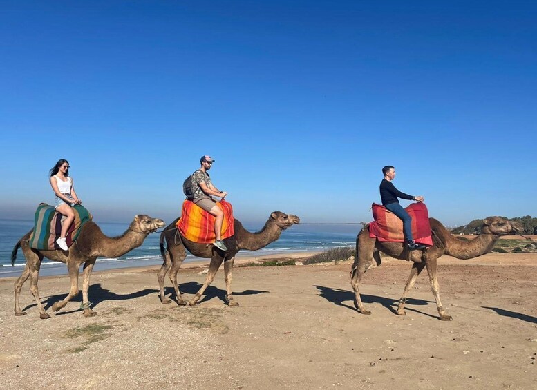 Picture 8 for Activity From Tanger: Hercules Caves & Cap Spartel w/ Camel Ride