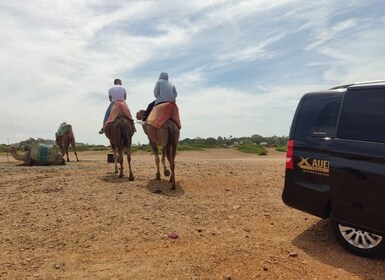 From Tanger: Hercules Caves & Cap Spartel w/ Camel Ride