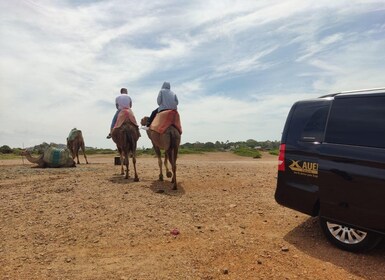 Desde Tánger: cuevas de Hércules y Cap Spartel con paseo en camello