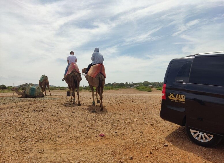 From Tanger: Hercules Caves & Cap Spartel w/ Camel Ride