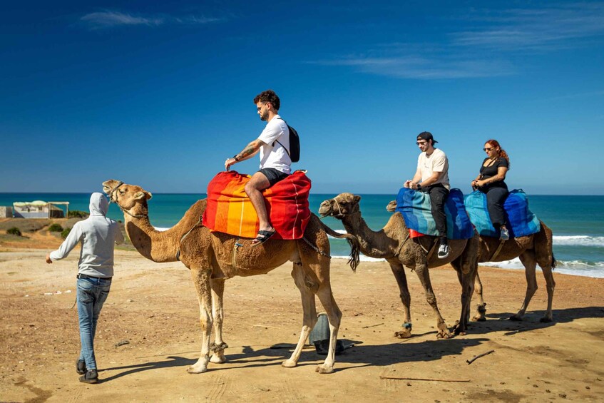 Picture 1 for Activity From Tangier: Cap Spartel and Hercules Cave with Camel Ride