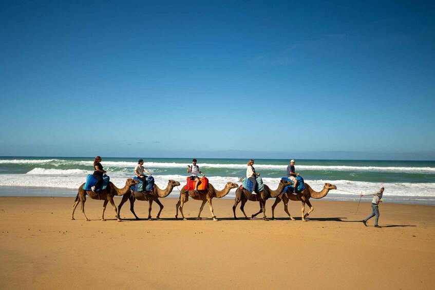 Picture 22 for Activity From Tangier: Cap Spartel and Hercules Cave with Camel Ride