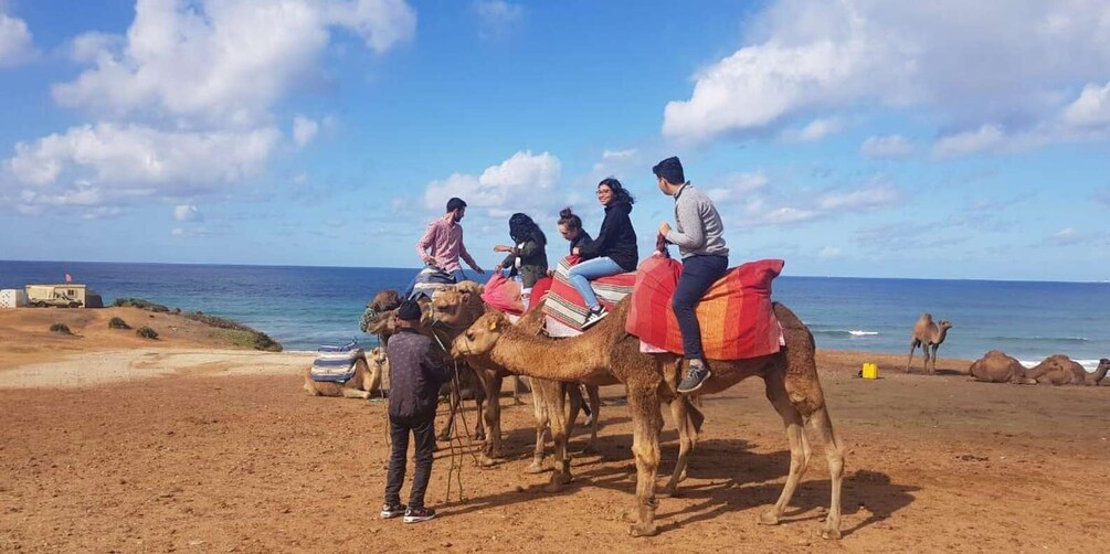 Picture 7 for Activity From Tanger: Hercules Caves & Cap Spartel w/ Camel Ride