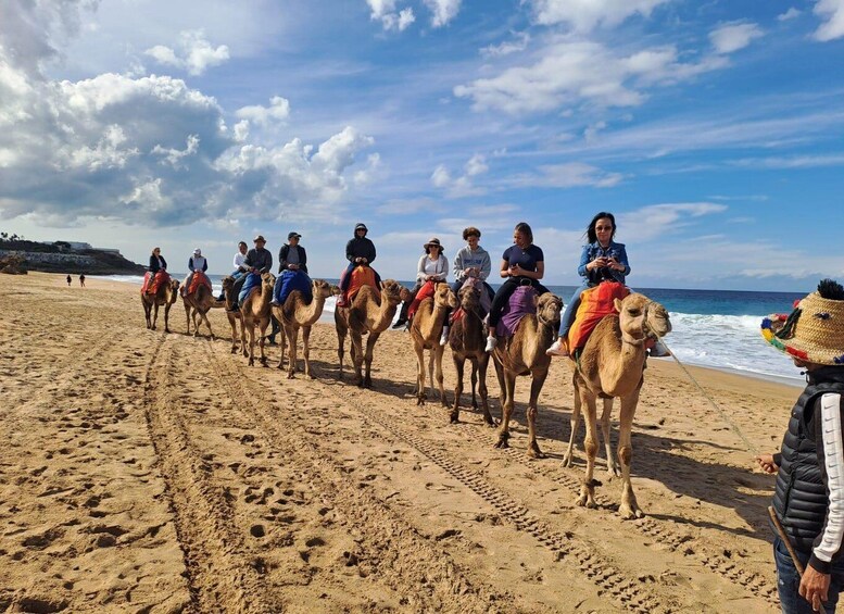 Picture 15 for Activity From Tangier: Cap Spartel and Hercules Cave with Camel Ride