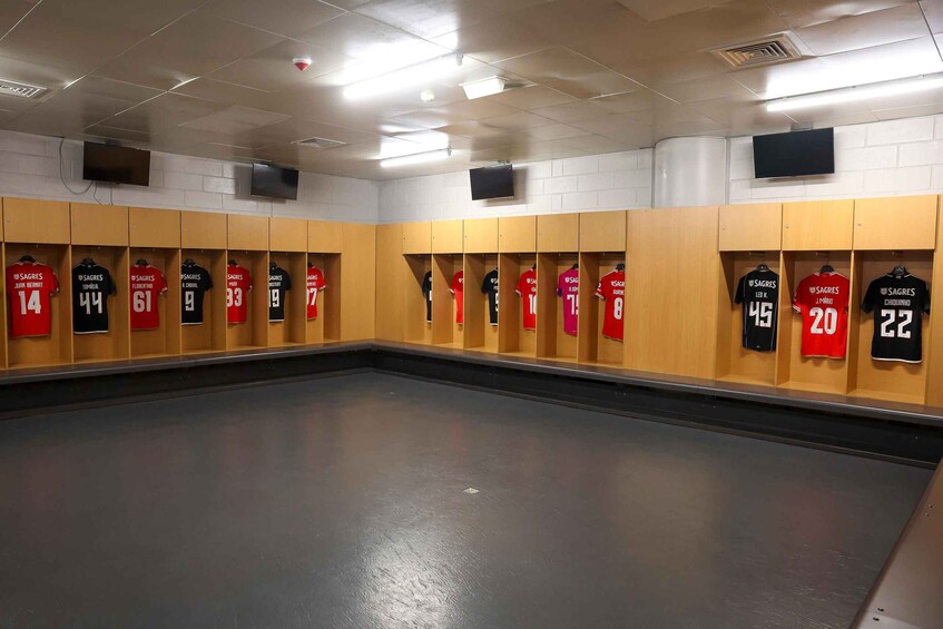 Picture 3 for Activity Lisbon: Benfica Luz Stadium Tour with Souvenir Scarf