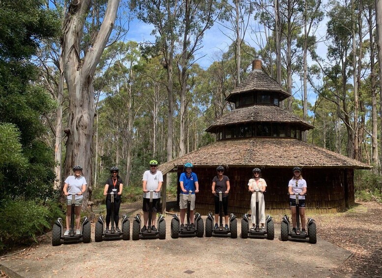 Picture 1 for Activity Launceston: Hollybank Forest Guided Segway Tour