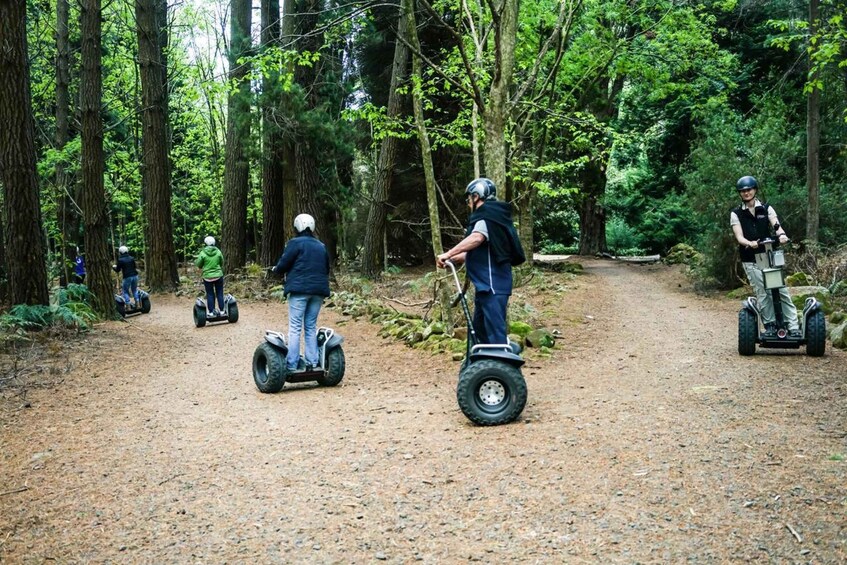 Picture 3 for Activity Launceston: Hollybank Forest Guided Segway Tour