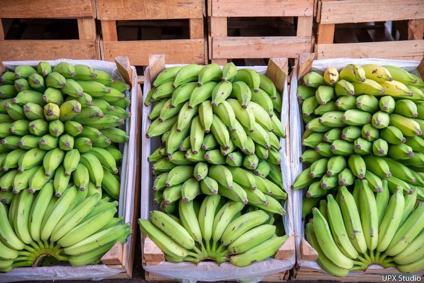 Picture 2 for Activity Gastronomic tour at the municipal market of Rio de Janeiro