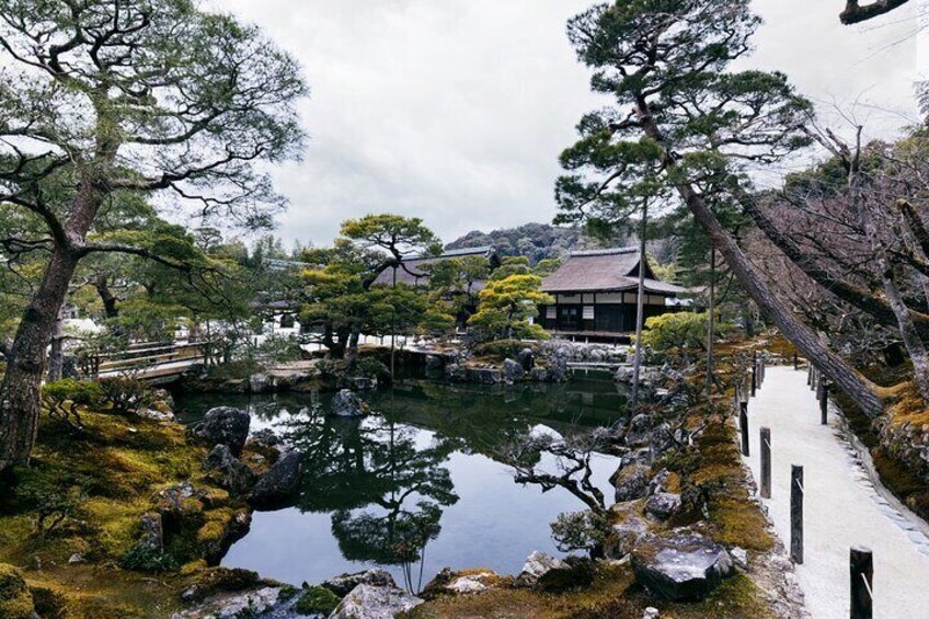 Enjoy Hot Spring Bath / Onsen and Sakura / Cherry Blossom View