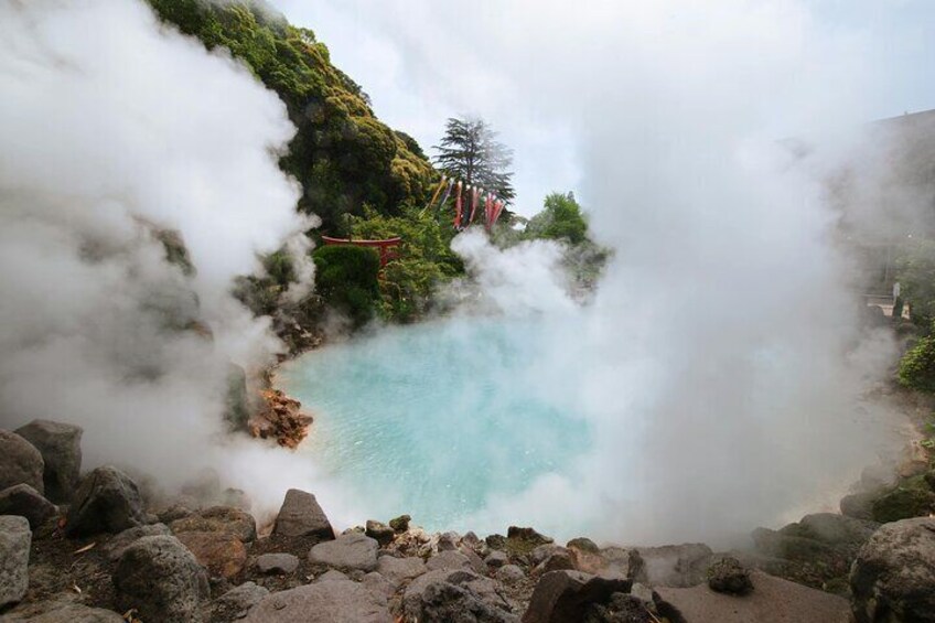 Enjoy Hot Spring Bath / Onsen and Sakura / Cherry Blossom View