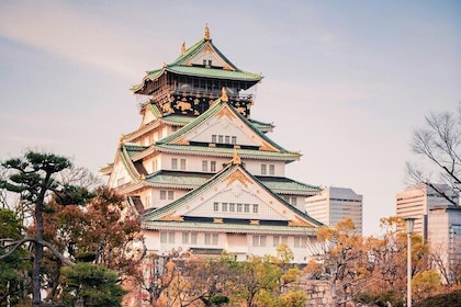 Private Osaka Tour with English Speaking Driver-up to 6 Travelers