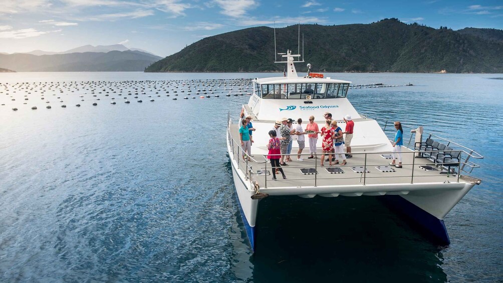 Picture 2 for Activity Picton and Marlborough Sounds: Seafood Odyssea Cruise