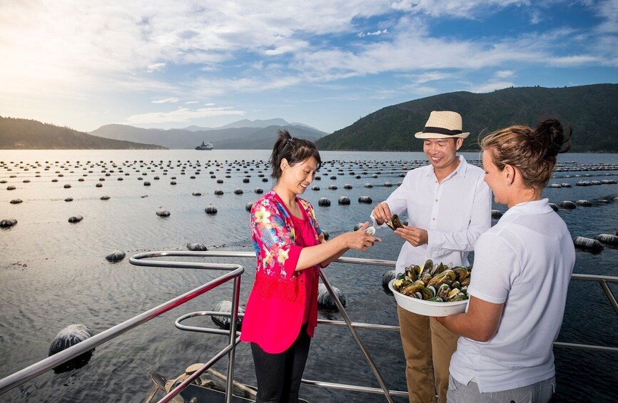 Picture 6 for Activity Picton and Marlborough Sounds: Seafood Odyssea Cruise