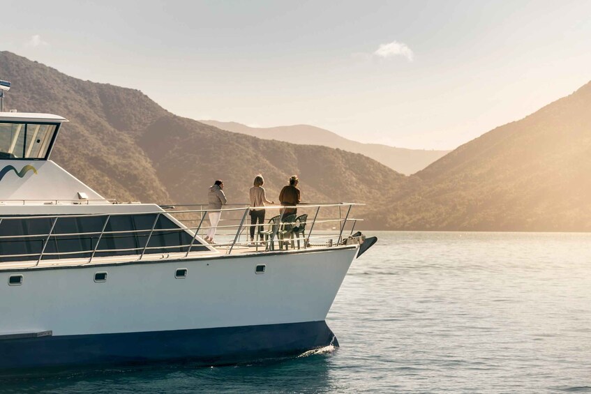 Picture 5 for Activity Picton and Marlborough Sounds: Seafood Odyssea Cruise