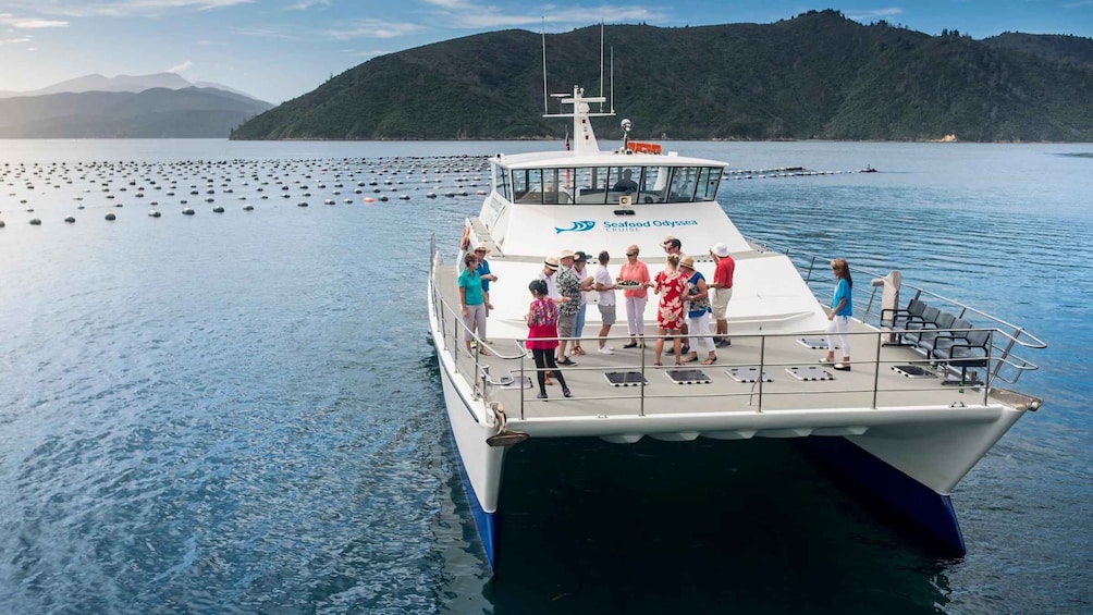 Picture 6 for Activity Picton and Marlborough Sounds: Seafood Odyssea Cruise