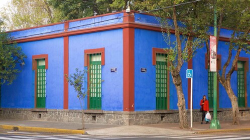 Tickets to The Frida Kahlo Museum & Diego Rivera Museum