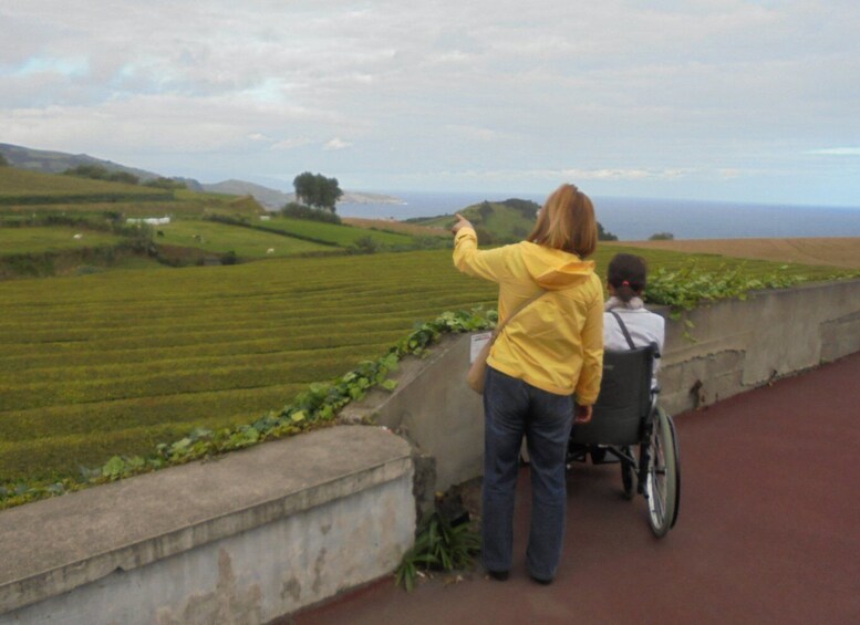 Picture 2 for Activity From Ponta Delgada: Furnas Wheelchair Accessible Van Tour