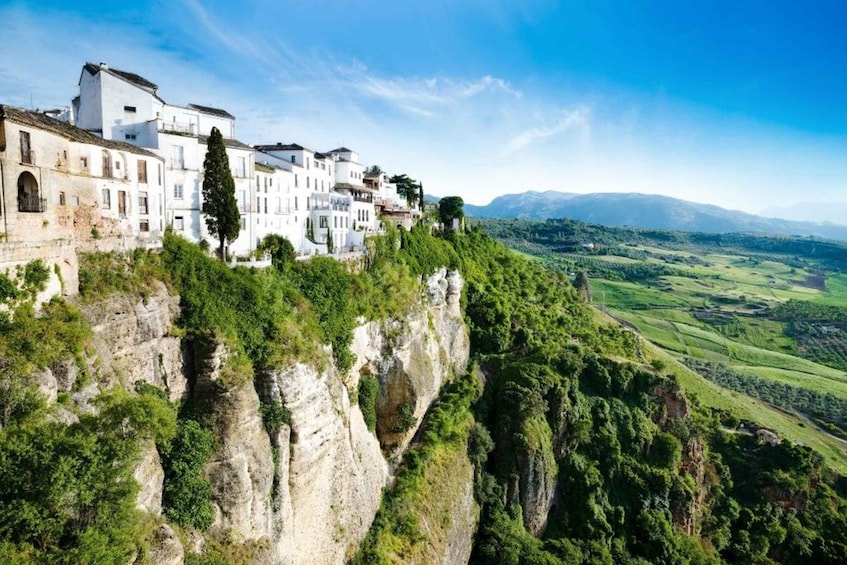 Picture 3 for Activity From Seville: White Villages and Ronda Tour