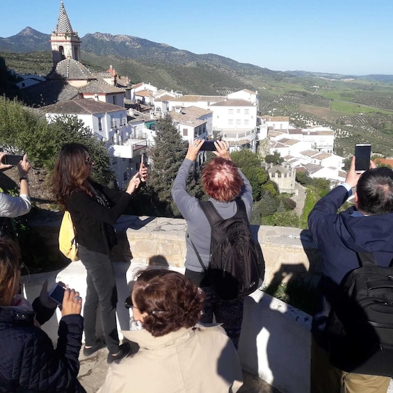 Picture 5 for Activity From Seville: White Villages and Ronda Tour