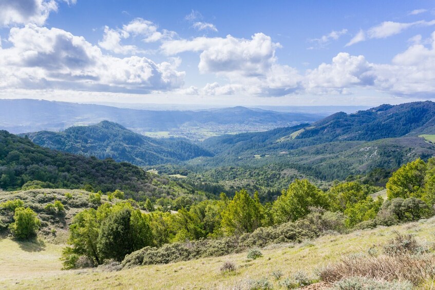 Sonoma and Napa Valley Self-Guided Driving Audio Tour