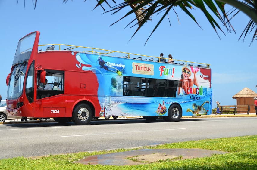 Cancun Hop-on Hop-off City Tour and Attractions