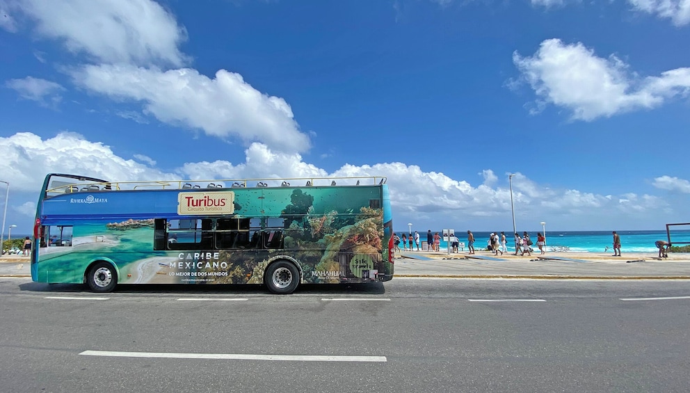 Cancun Hop-on Hop-off City Tour and Attractions