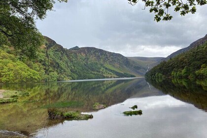 Day Tour from Dublin: Wicklow Mountains, Glendalough, Powerscourt