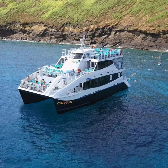 Molokini Crater and Turtle Town Snorkel Adventure aboard the Calypso