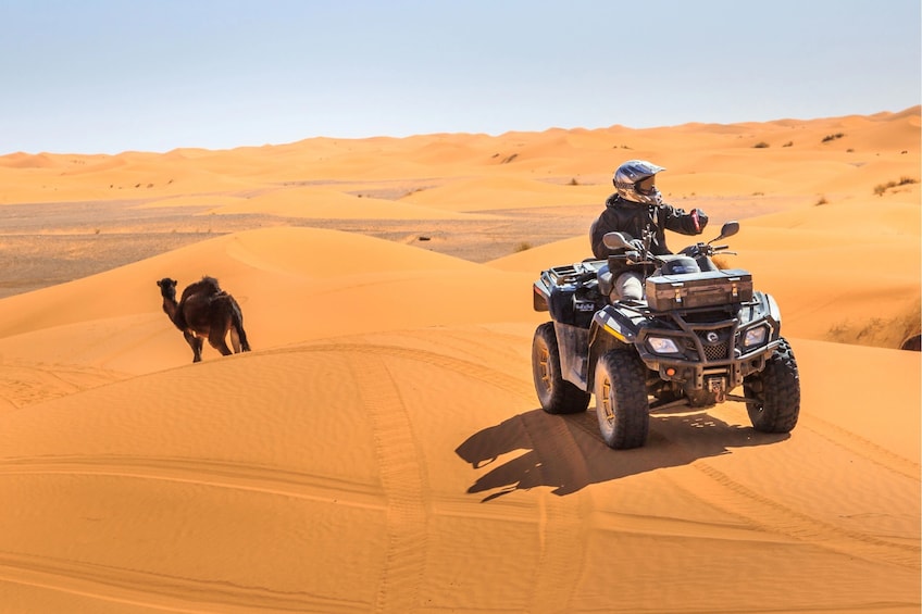 Dubai Desert Safari Dune Bashing, 60min ATV Quad, Camel Ride, BBQ