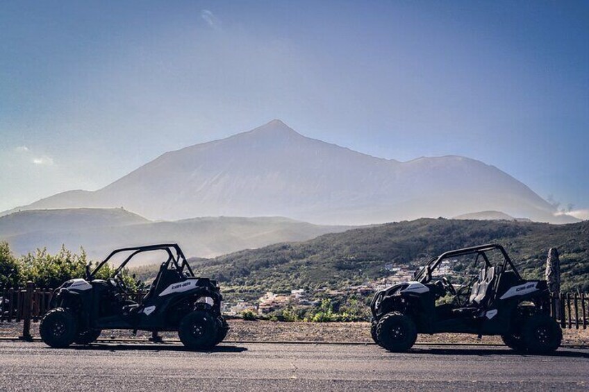 Tenerife Teide National Park Buggy Tour with Hotel Transfer