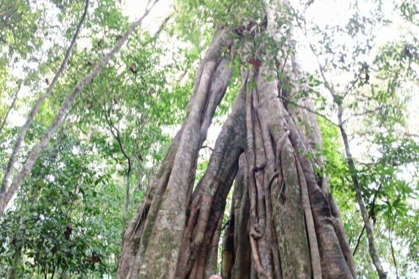 Bali Danu Beratan Temple, Waterfall, Twin lake Trekking Optional 