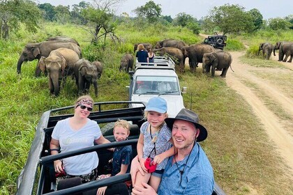 Minneriya National Park Half day Jeep Safari with Hotel Pickup