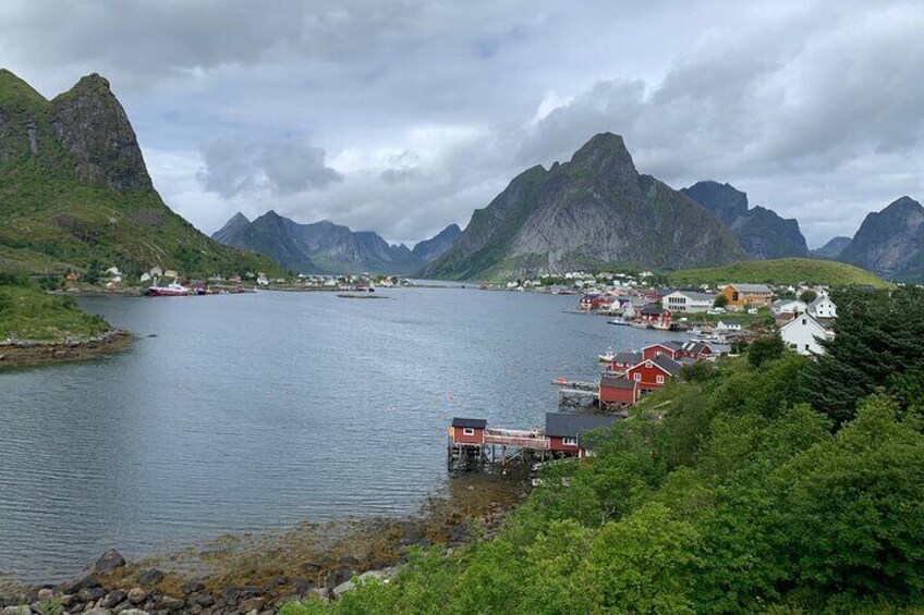 Reine