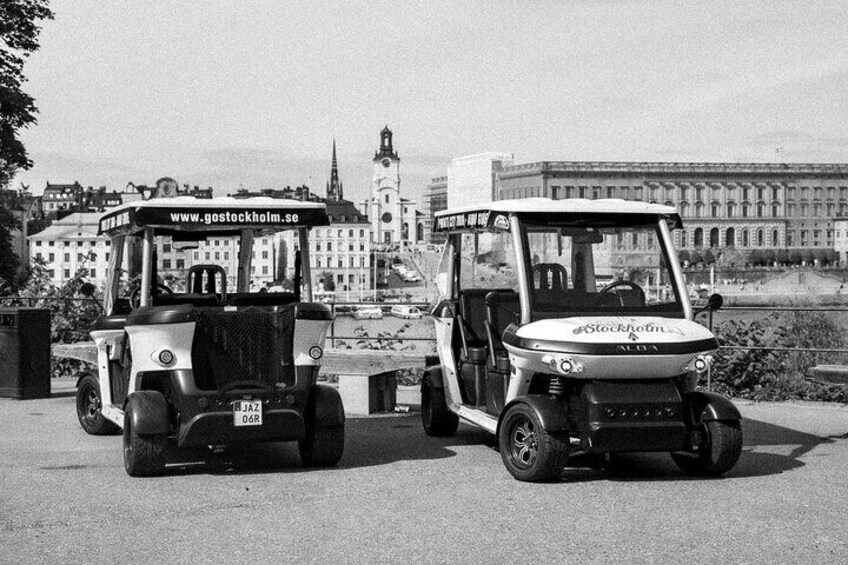 Stockholm Highlights Private Tour by Golf Cart 