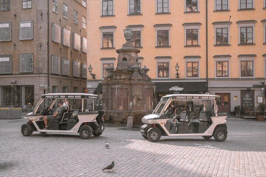 Stockholm Highlights Private Tour by Golf Cart 